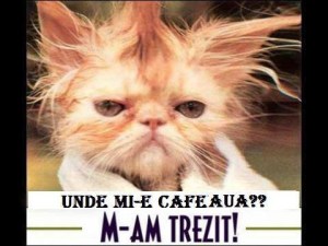 unde-mi-e-cafeaua_939062d3d8e29b